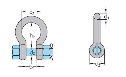 WA145643005-1.webp