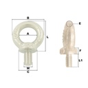 ANNEAU DE LEVAGE MALE GALVA | DIN580
