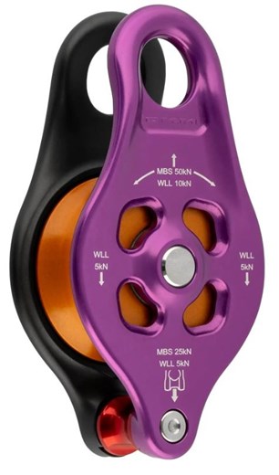 POULIE - PINTO RIG - DMM